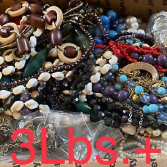 Meet your Posher, Lily - Picture 7 of 8